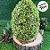 Enfeite Decorativo de Páscoa - Ovo Rústico com Folhas Verdes - 20cm - 1 unidade - Cromus - Rizzo - Imagem 3