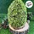 Enfeite Decorativo de Páscoa - Ovo Rústico com Folhas Verdes - 26cm - 1 unidade - Cromus - Rizzo - Imagem 3