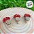 Mini Prendedor Decorativo - Cogumelo Vermelho - 5cm - 3 unidades - Cromus - Rizzo - Imagem 1