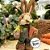 Decoração de Páscoa Coelho de Palha com Óculos e Cenoura Rústico - 24cm - 01 Unidade - Rizzo - Imagem 2
