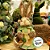 Decoração de Páscoa Coelha de Palha Vestido Verde e Cesto - 34cm - 01 unidade - Rizzo - Imagem 2