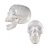 Crânio com Mandibula Fléxivel - Branco - 1 unidade - BrasilFlex - Rizzo - Imagem 1