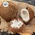 Chips de Coco Original 100gr - Rizzo Confeitaria - Imagem 1