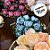 Forminha para Doces Finos - Bela Azul Claro  - 30 unidades - Decora Doces - Rizzo - Imagem 6