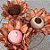 Forminha para Doces Finos - Madri Canela - 30 unidades - Decora Doces - Rizzo - Imagem 1