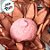 Forminha para Doces Finos - Madri Canela - 30 unidades - Decora Doces - Rizzo - Imagem 2