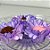 Forminha para Doces Finos - Madri Lilas - 30 unidades - Decora Doces - Rizzo - Imagem 1