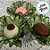 Forminha para Doces Finos - Madri Pistache Clarissimo - 30 unidades - Decora Doces - Rizzo - Imagem 2