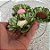 Forminha para Doces Finos - Madri Pistache Clarissimo - 30 unidades - Decora Doces - Rizzo - Imagem 3