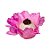 Forminha para Doces Finos - Madri Rosa Claro - 30 unidades - Decora Doces - Rizzo - Imagem 5
