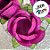 Forminha para Doces Finos - Rainha Cor Rose - 30 unidades - Decora Doces - Rizzo - Imagem 2