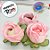 Forminha para Doces Finos - Rainha Cor Tiffany - 30 unidades - Decora Doces - Rizzo - Imagem 6