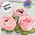 Forminha para Doces Finos - Rainha Cor Areia Clara - 30 unidades - Decora Doces - Rizzo - Imagem 6