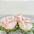 Forminha para Doces Finos - Rainha Cor Rosa Bebe - 30 unidades - Decora Doces - Rizzo - Imagem 1