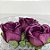 Forminha para Doces Finos - Rainha Cor Marsala - 30 unidades - Decora Doces - Rizzo - Imagem 1