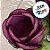 Forminha para Doces Finos - Rainha Cor Marsala - 30 unidades - Decora Doces - Rizzo - Imagem 2