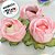 Forminha para Doces Finos - Rainha Cor Marsala - 30 unidades - Decora Doces - Rizzo - Imagem 6