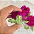 Forminha para Doces Finos - Rainha Cor Pink - 30 unidades - Decora Doces - Rizzo - Imagem 3