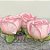 Forminha para Doces Finos - Rainha Cor Goiaba Matte - 30 unidades - Decora Doces - Rizzo - Imagem 1