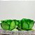 Forminha para Doces Finos - Rainha Verde Musgo Médio - 30 unidades - Decora Doces - Rizzo - Imagem 1