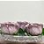 Forminha para Doces Finos - Rainha Rosa Antigo Claro - 30 unidades - Decora Doces - Rizzo - Imagem 1