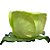 Forminha para Doces Finos - Rainha Verde Limão Claro - 30 unidades - Decora Doces - Rizzo - Imagem 5