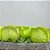 Forminha para Doces Finos - Rainha Verde Oliva Claro - 30 unidades - Decora Doces - Rizzo - Imagem 1