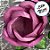 Forminha para Doces Finos - Rainha Rosa queimado - 30 unidades - Decora Doces - Rizzo - Imagem 2