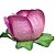 Forminha para Doces Finos - Rainha Rosa queimado - 30 unidades - Decora Doces - Rizzo - Imagem 5