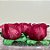 Forminha para Doces Finos - Rainha Rosa Seco - 30 unidades - Decora Doces - Rizzo - Imagem 1