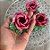Forminha para Doces Finos - Rainha Rosa Seco - 30 unidades - Decora Doces - Rizzo - Imagem 3