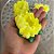 Forminha para Doces Finos - Rosa Maior Amarelo Claro - 30 unidades - Decora Doces - Rizzo - Imagem 3