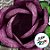 Forminha para Doces Finos - Rainha Rosa Antigo Matte - 30 unidades - Decora Doces - Rizzo - Imagem 2