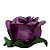 Forminha para Doces Finos - Rainha Rosa Antigo Matte - 30 unidades - Decora Doces - Rizzo - Imagem 5