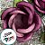 Forminha para Doces Finos - Rainha Rosa Seco 2 - 30 unidades - Decora Doces - Rizzo - Imagem 2
