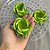 Forminha para Doces Finos - Rainha Verde Limão Claro - 30 unidades - Decora Doces - Rizzo - Imagem 3