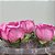 Forminha para Doces Finos - Rainha Chiclete - 30 unidades - Decora Doces - Rizzo - Imagem 1