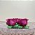 Forminha para Doces Finos - Rainha Rosa Magenta Médio - 30 unidades - Decora Doces - Rizzo - Imagem 1
