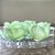 Forminha para Doces finos - Rainha Verde Menta Suave - 30 unidades - Decora Doces - Rizzo - Imagem 1
