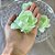 Forminha para Doces finos - Rainha Verde Menta Suave - 30 unidades - Decora Doces - Rizzo - Imagem 3
