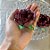 Forminha para Doces Finos - Bela Marrom - 40 unidades - Decora Doces - Rizzo - Imagem 3