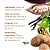 Essência Para Vela - Semente Brasileira - 10ml - 1 unidade - Vya - Rizzo - Imagem 2