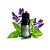 Essência Para Vela de Areia - Lavanda Pachouli - 10ml - 1 unidade - Vya - Rizzo - Imagem 1
