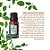 Óleo Essencial de Menta Tri Retrificada Concentrado - 10ml - 1 unidade - Rizzo - Imagem 2