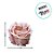 Forminha para Doces Finos - Magnolia Doce de Leite - 30 unidades - Decora Doces - Rizzo - Imagem 3
