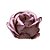 Forminha para Doces Finos - Magnolia Avelã - 30 unidades - Decora Doces - Rizzo - Imagem 1