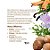 Essência Para Aromatizador Elétrico - Warm Woody - 10ml - 1 unidade - Vya - Rizzo - Imagem 2