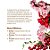 Essência Para Aromatizador Elétrico - Flor De Cerejeira - 10ml - 1 unidade - Vya - Rizzo - Imagem 2