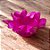 Forminha Para Doces Finos - Lírio Pink - 40 unidades - Decora Doces - Rizzo - Imagem 1