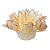 Forminha para Doces Finos - Madri Creme Queimado - 50 unidades - Decora Doces - Rizzo - Imagem 1